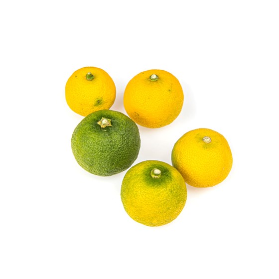 LIME SUDACHI 1 KG