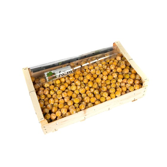 PLOMME MIRABELLE 6 KG