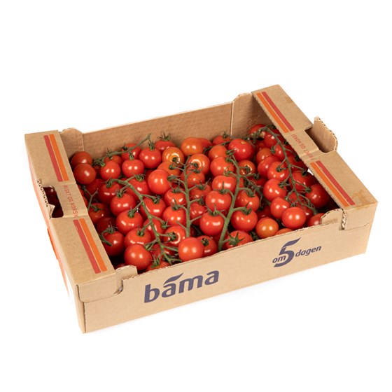 TOMAT CHERRY KLASE 3 KG NO